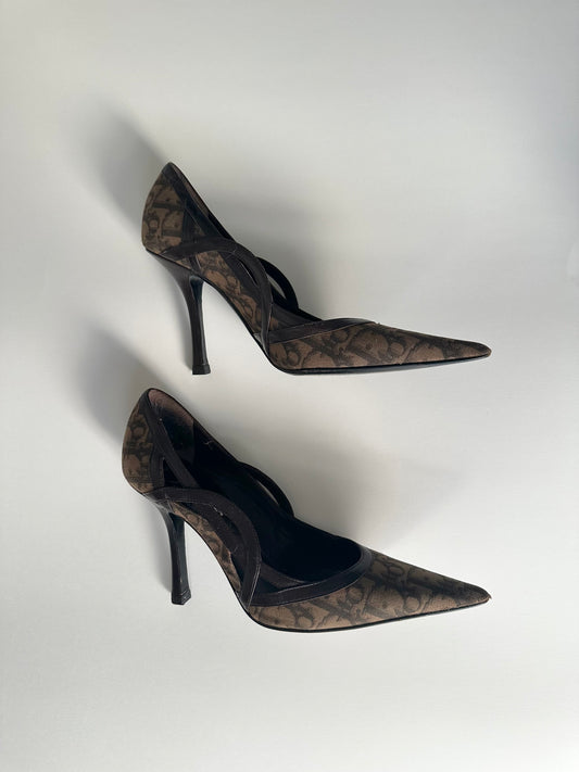 Dior Brown Trotter Pumps 35.5