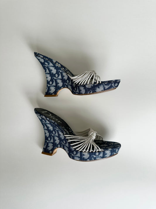 Dior Blue Trotter Wedges 36