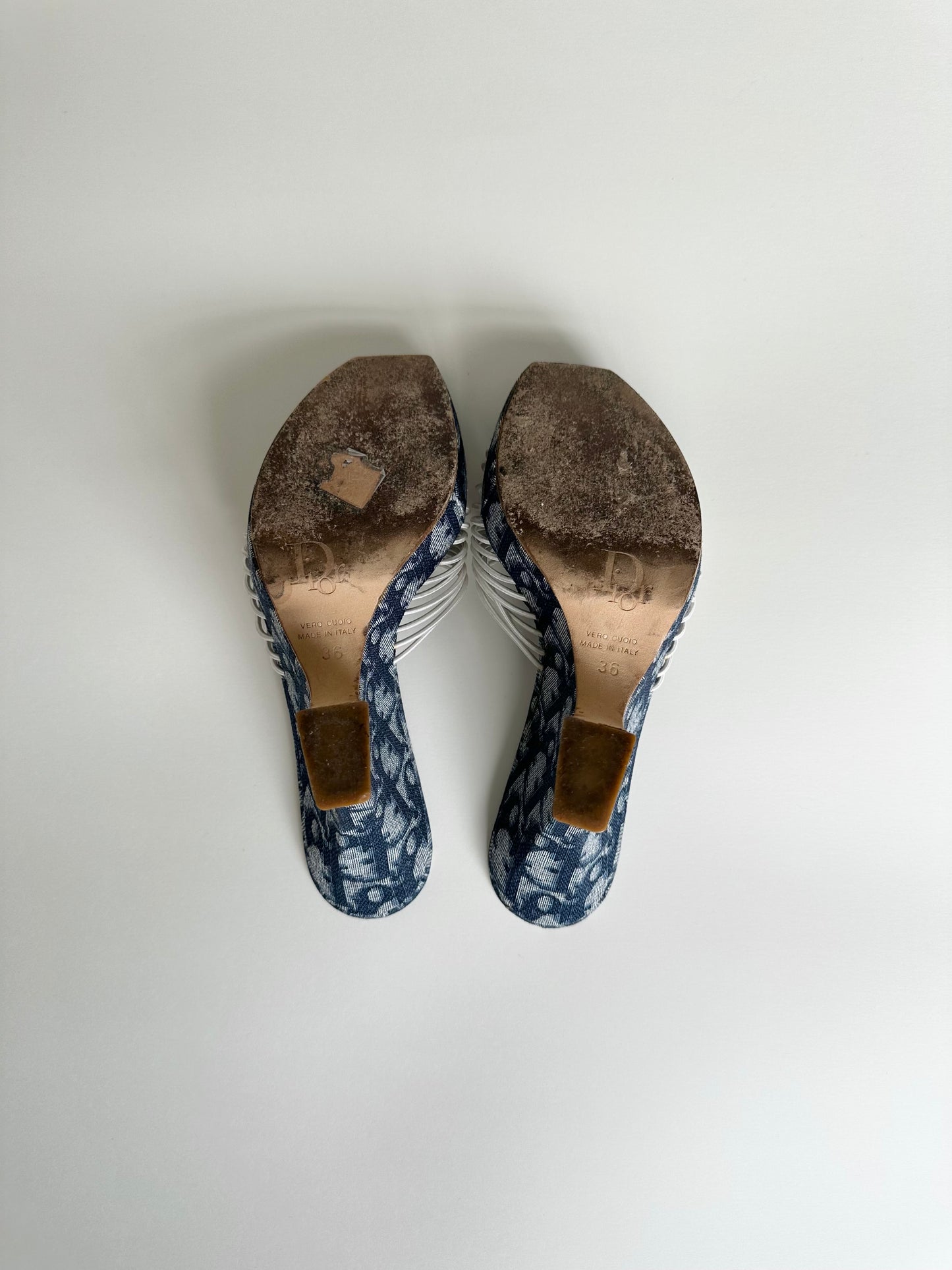 Dior Blue Trotter Wedges 36