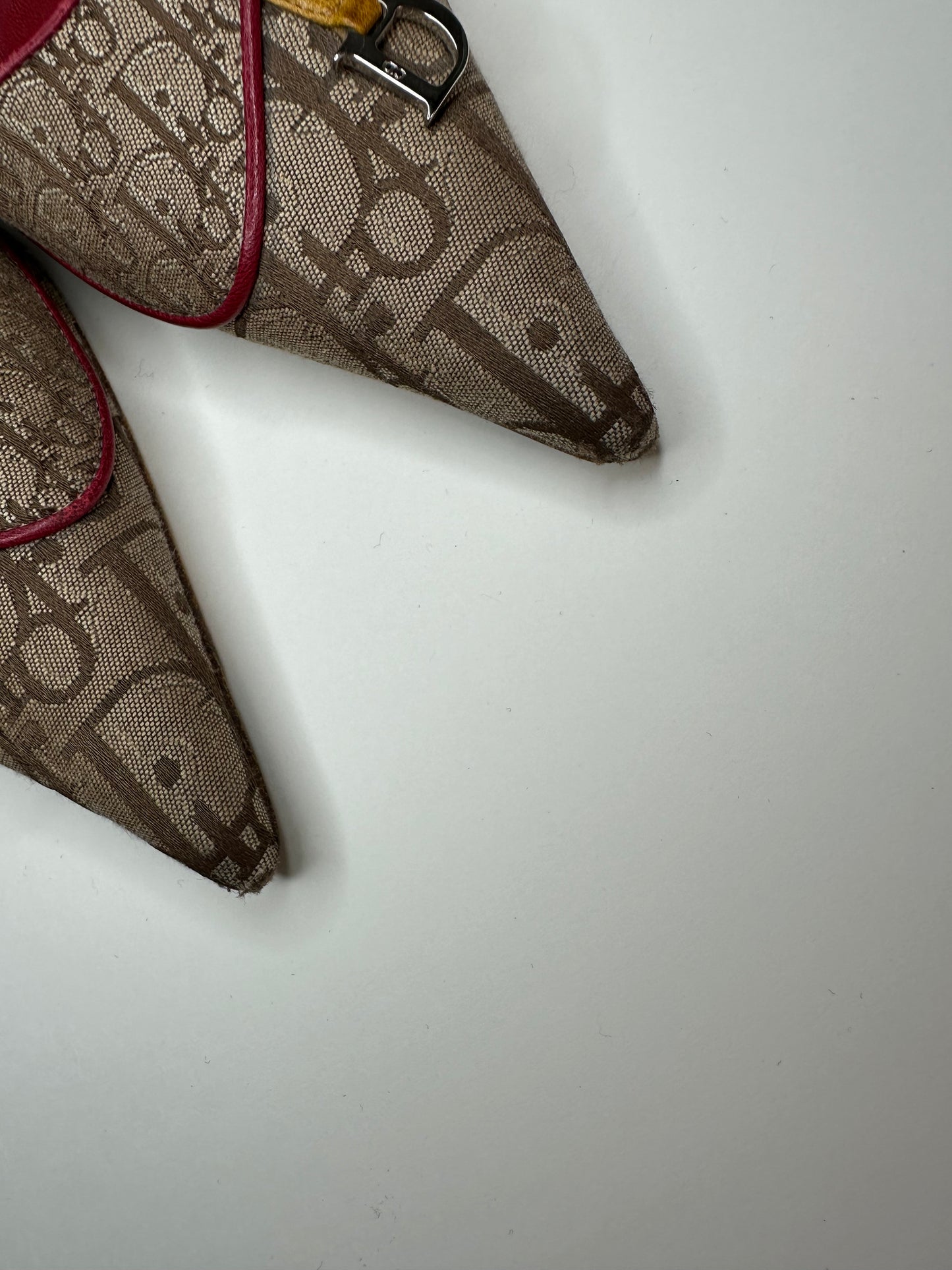 Dior Rasta Pumps 39