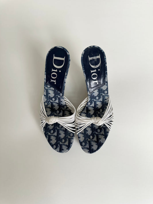 Dior Blue Trotter Wedges 36