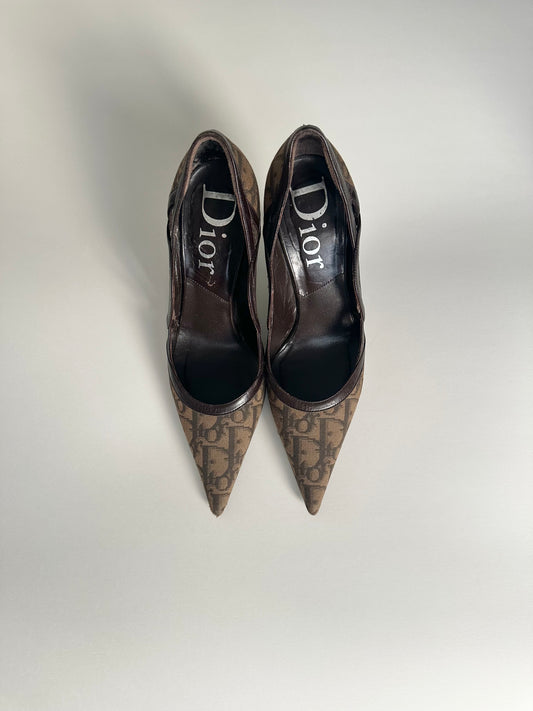Dior Brown Trotter Pumps 35.5